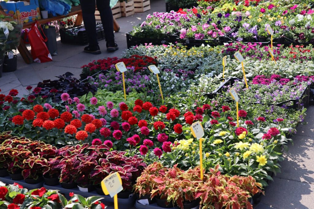 15e2b77e 180d 4da5 Ad12 B7745775c06a