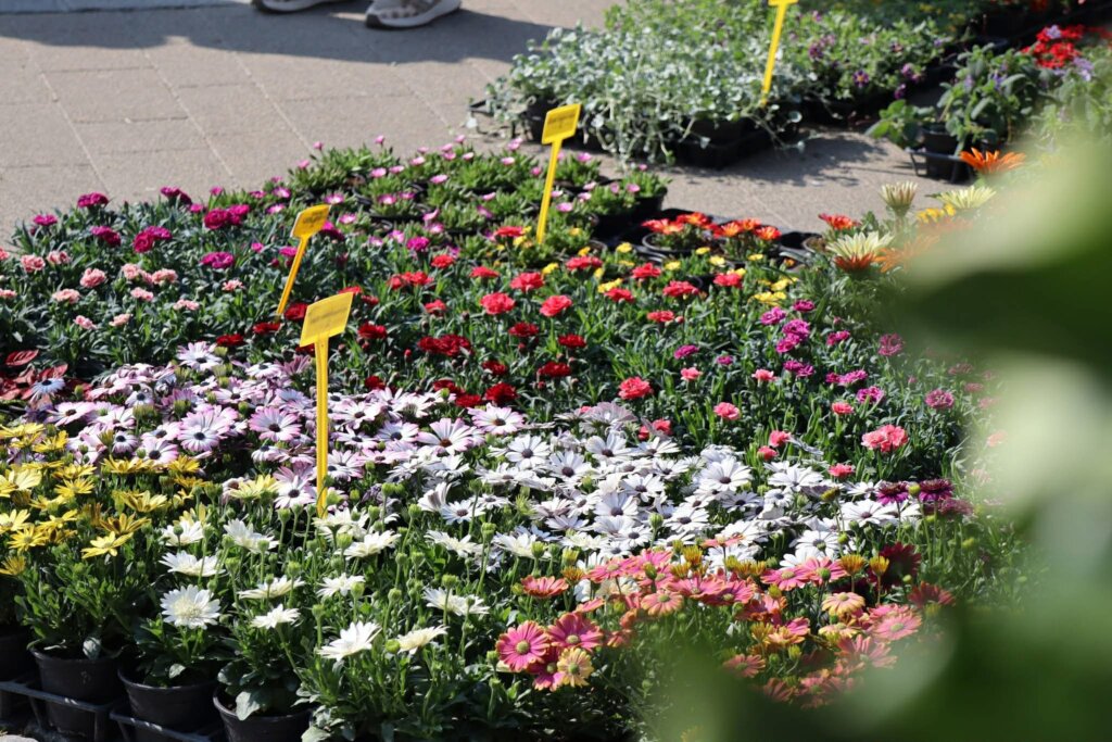 1a29598f D821 493c 9cbe 28db5fd100cf