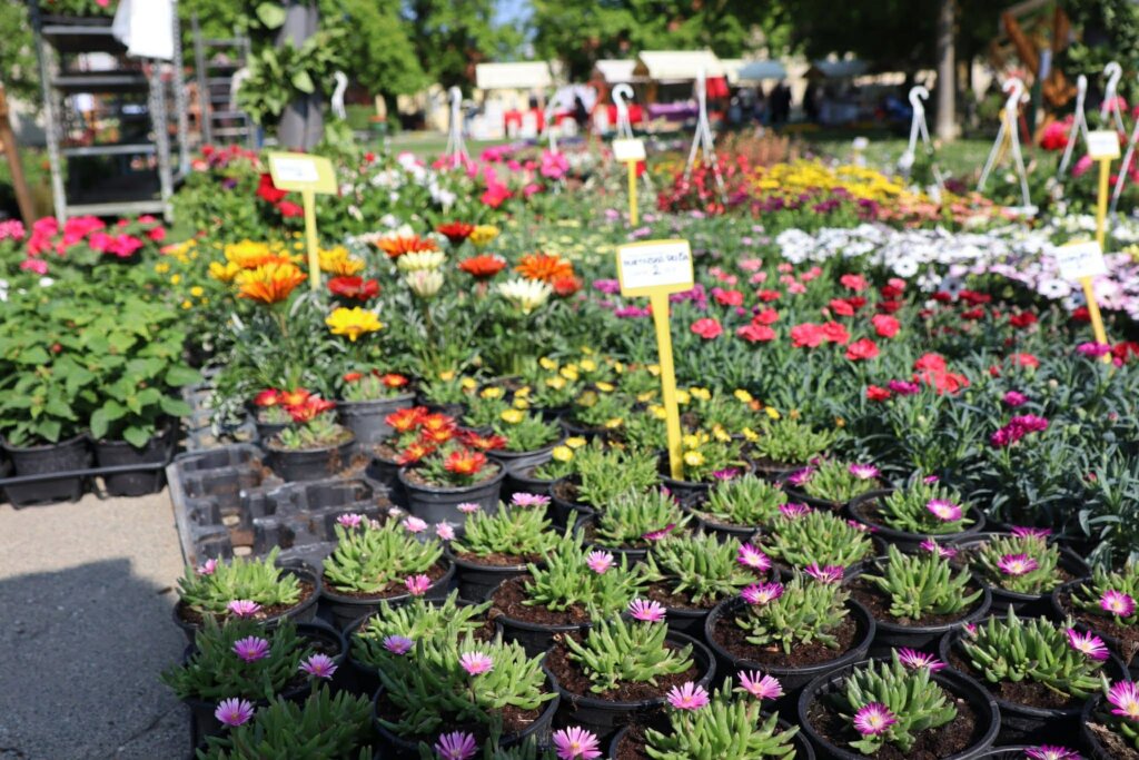 2dc91336 Eecc 4b97 B414 80c187707527