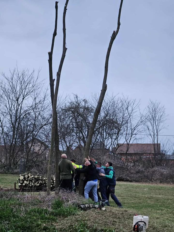 657342559 2166384430887076 7844399297995646169 N