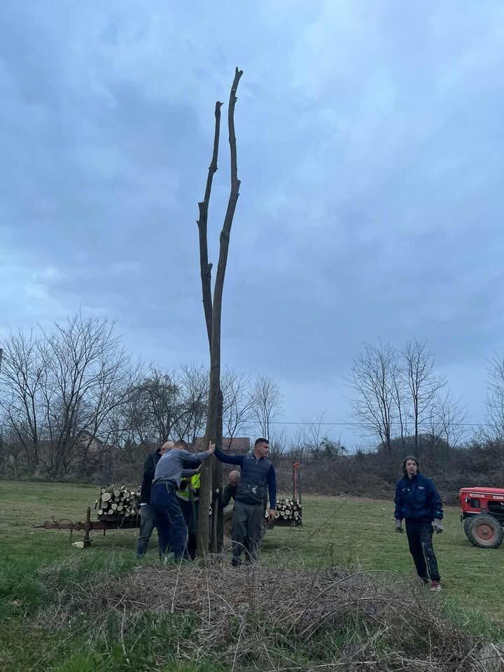 658094449 828883649574362 9062077463519077307 N