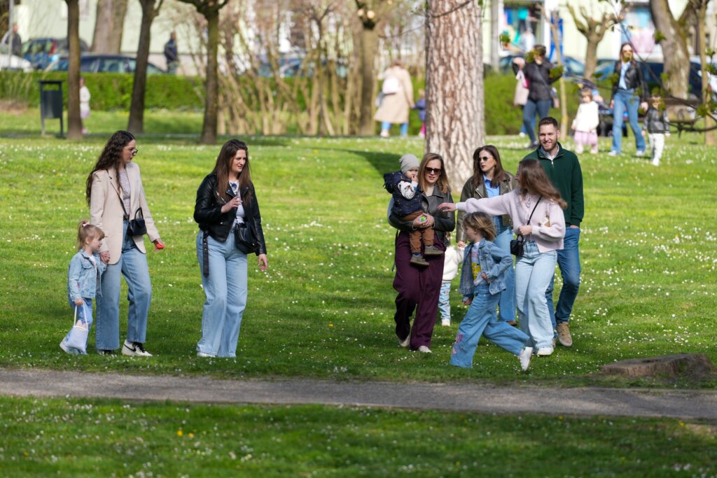 660195903 1389142519924769 1081705097881501293 N