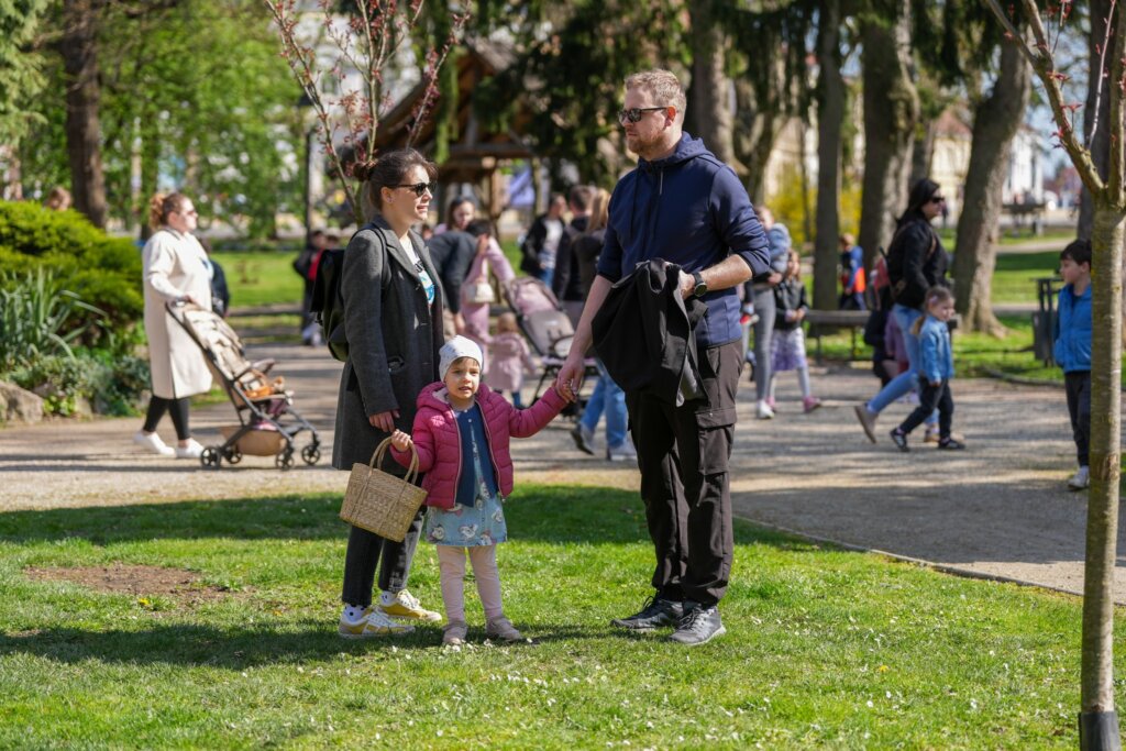 660279936 1389140946591593 1552903061143485816 N