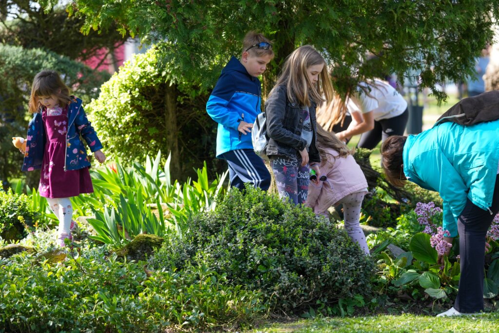 661375936 1389142846591403 3355515800606776575 N