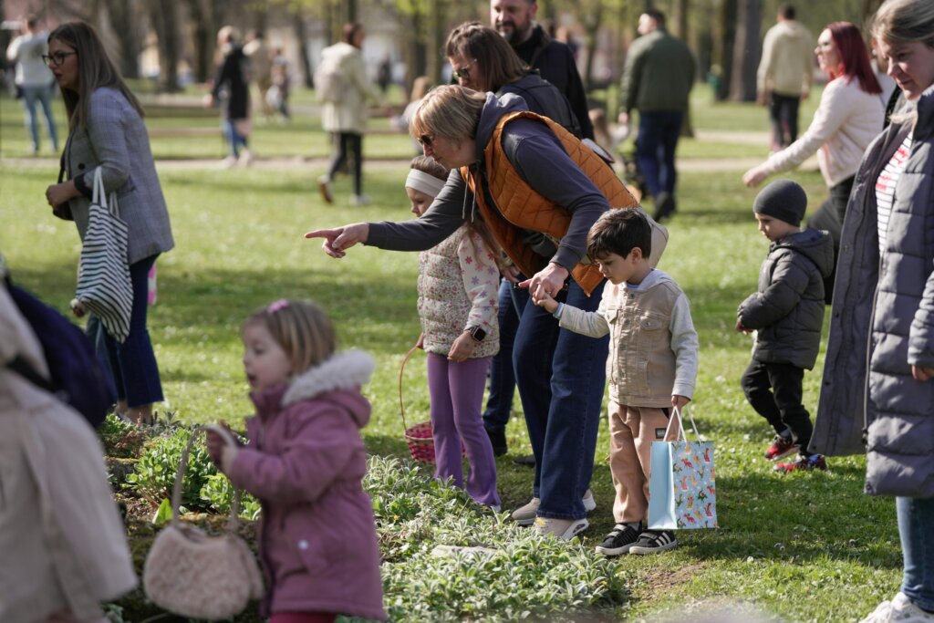 662981823 1389140396591648 6870151241007622280 N