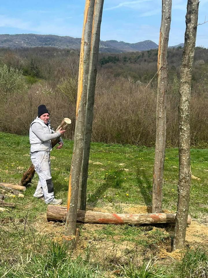 663723516 1686029999419952 1958466449211297050 N