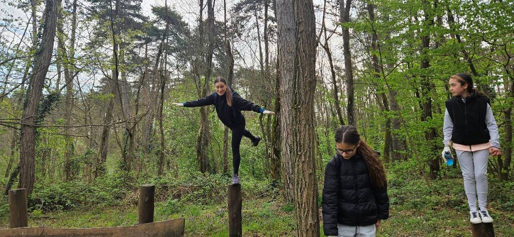 668250611 1573405971459590 4736113190351231932 N