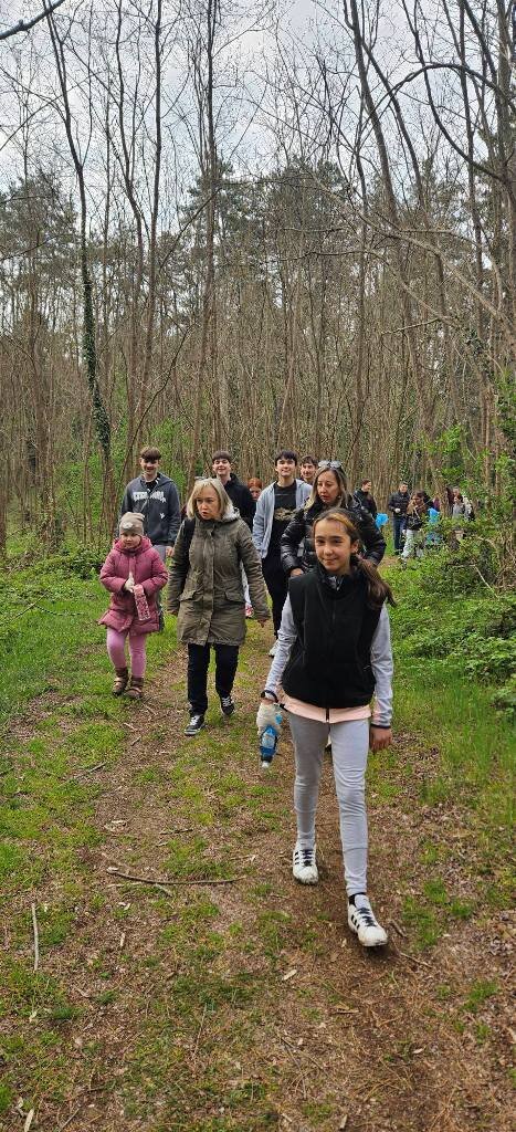 668574938 1573406228126231 8854789230845482475 N