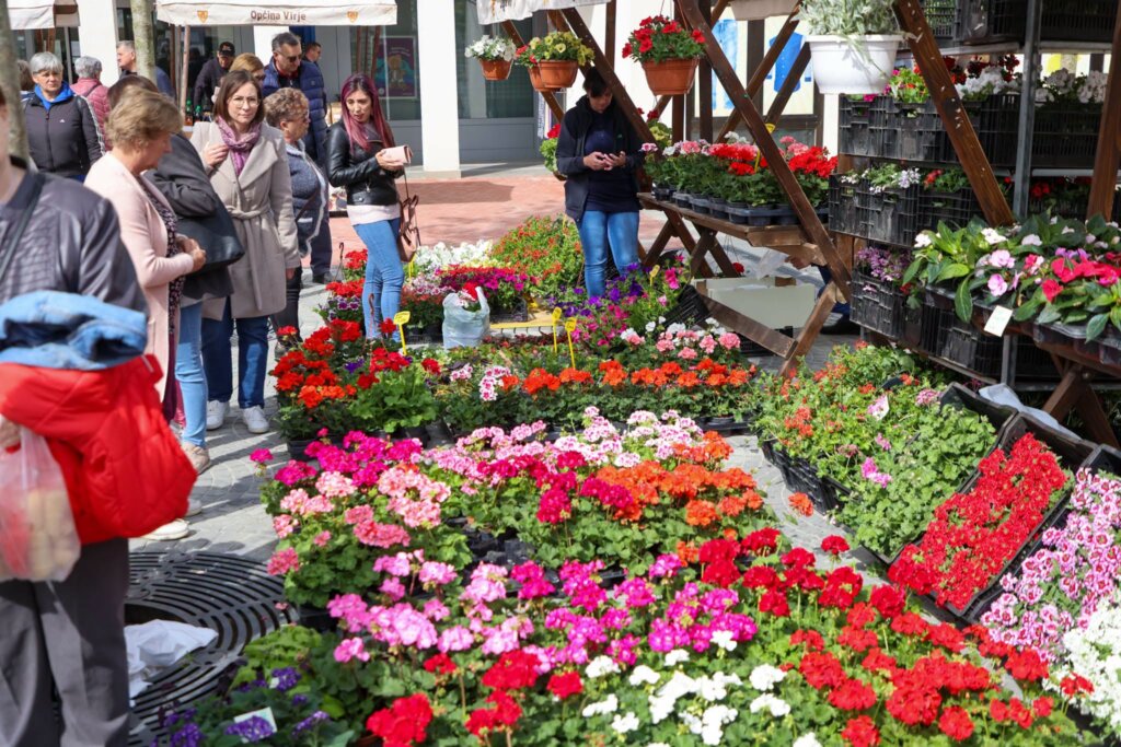 673322592 2045824765969696 3995553943355318292 N