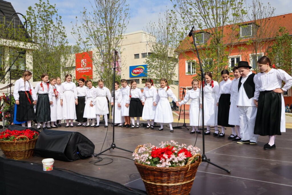 674923775 1320820323277745 2711435355309431010 N