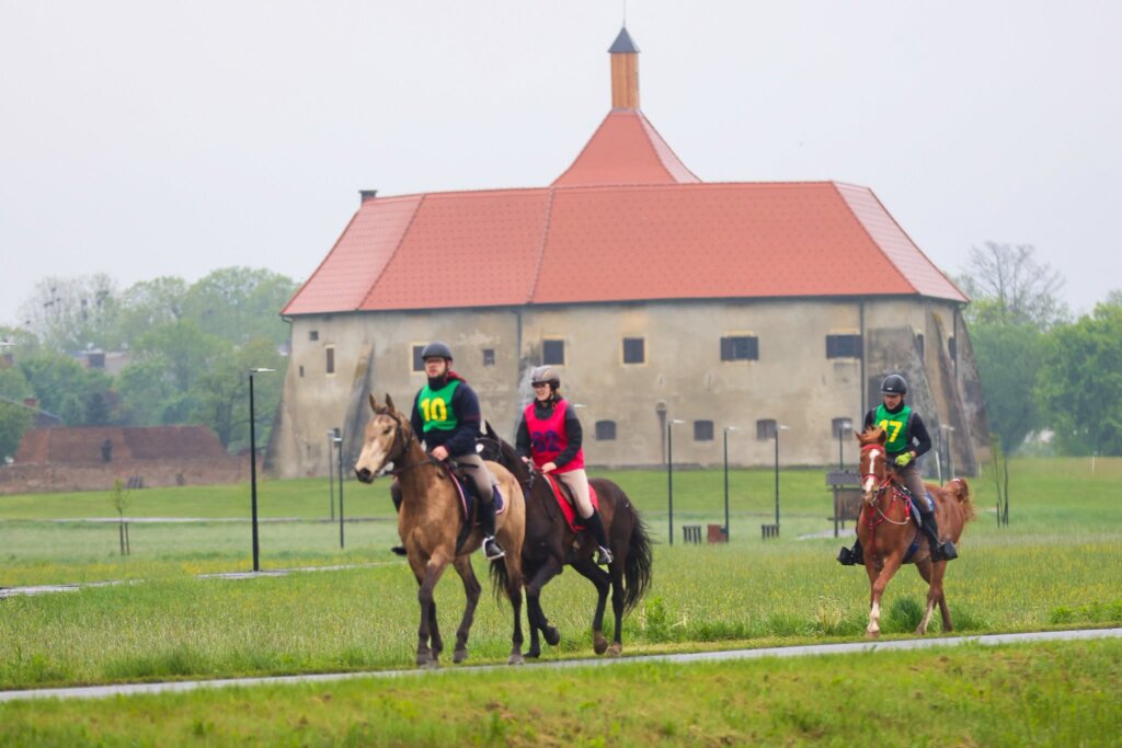 675107369 1277636981232076 5455871042323431459 N