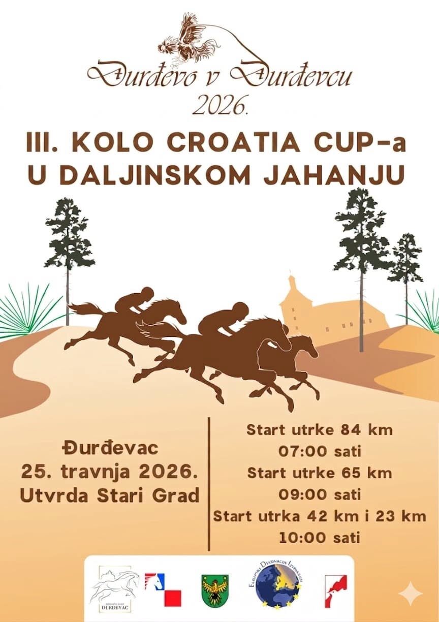 677908711 819895347850765 416162221387930612 N