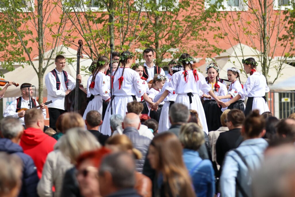 677966253 1736717107739070 1622624696140547774 N