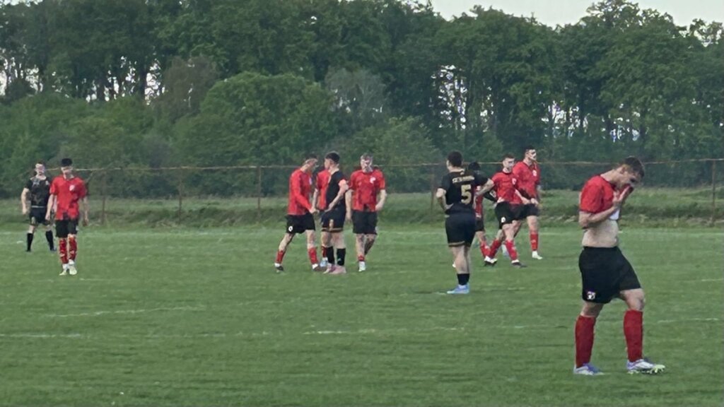 95794012 026c 401f A187 3104e3e790f0