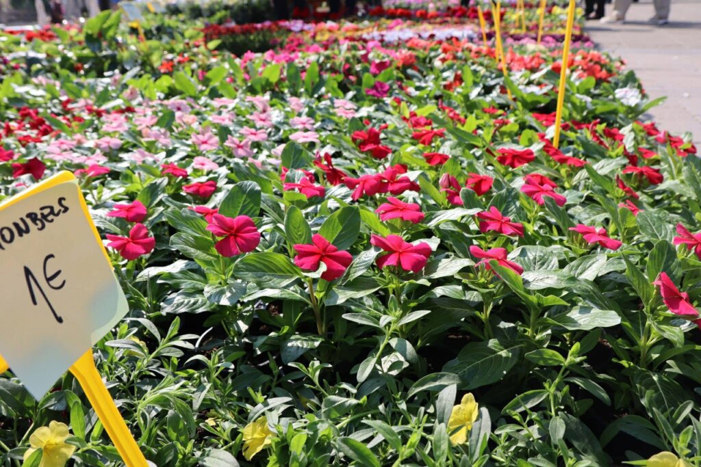 95dcfc6f 4331 4c0f Af8d 5917c6424b01