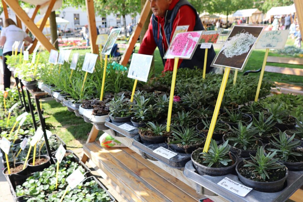 96a714af 7035 46aa 9535 75553932845e