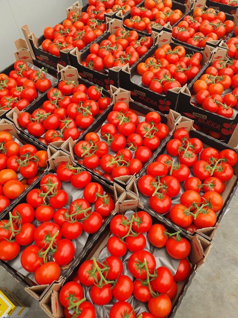 Domaća Rajčica Belje 2