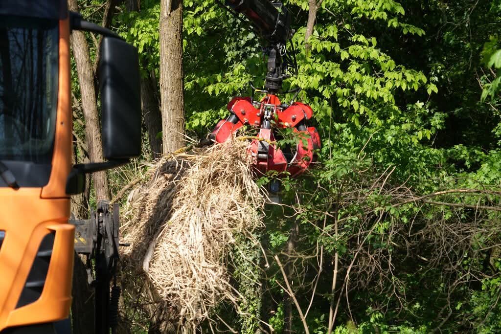 Fb Img 1776508864637