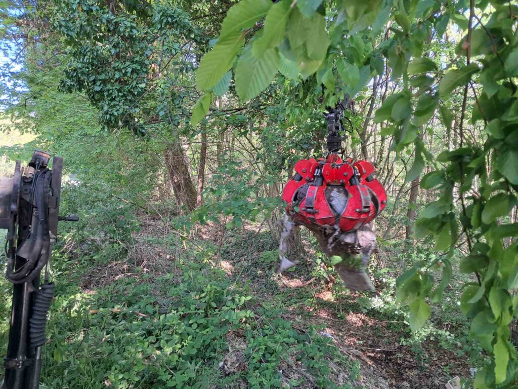 Img B0e35ef85da37da96b4d40e1442897a5 V