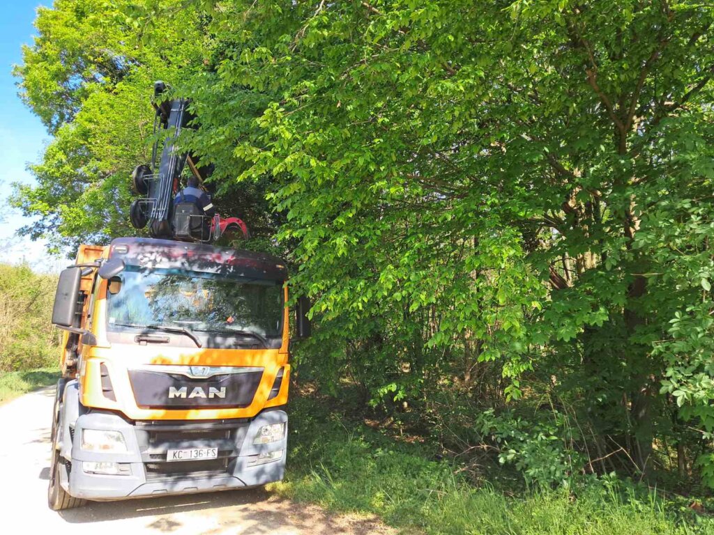 Img C65a1c71679b5523510569b59fbe119e V