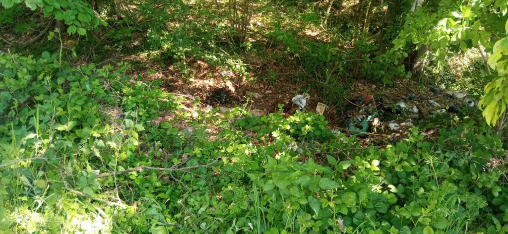 Img F74624d98b39405067ceebb790c5cc96 V