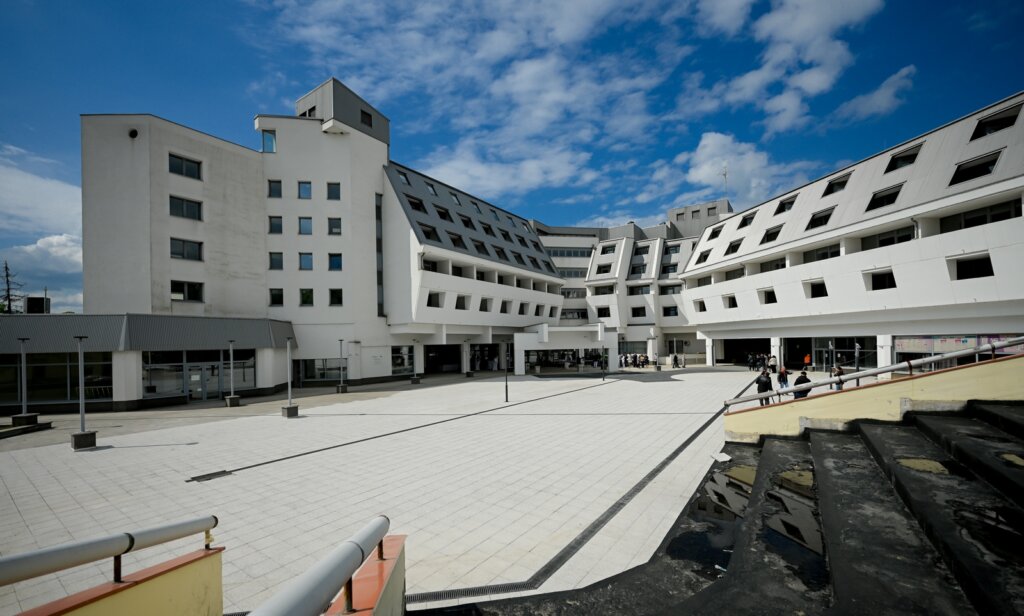 Minerva Obilazak Radova 33)