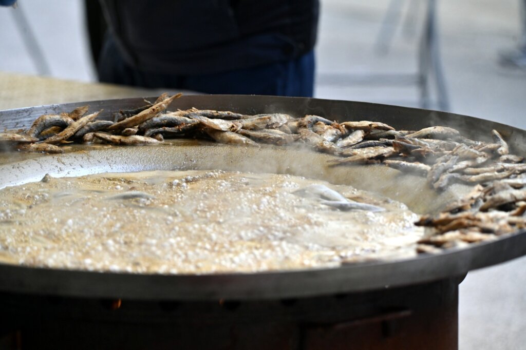 Photo 2026 04 03 11 27 06