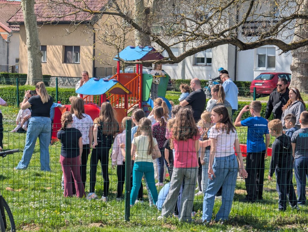 Photo 2026 04 06 13 13 42 3