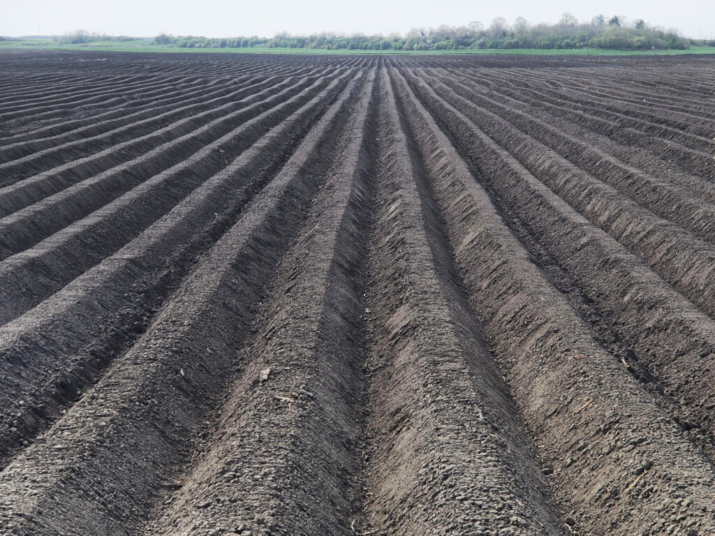 Podravka Agri Gredice Krumpira