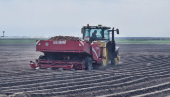 Podravka Agri Sadnja Krumpira