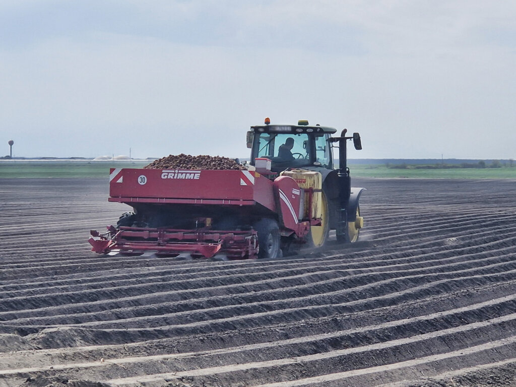 Podravka Agri Sadnja Krumpira