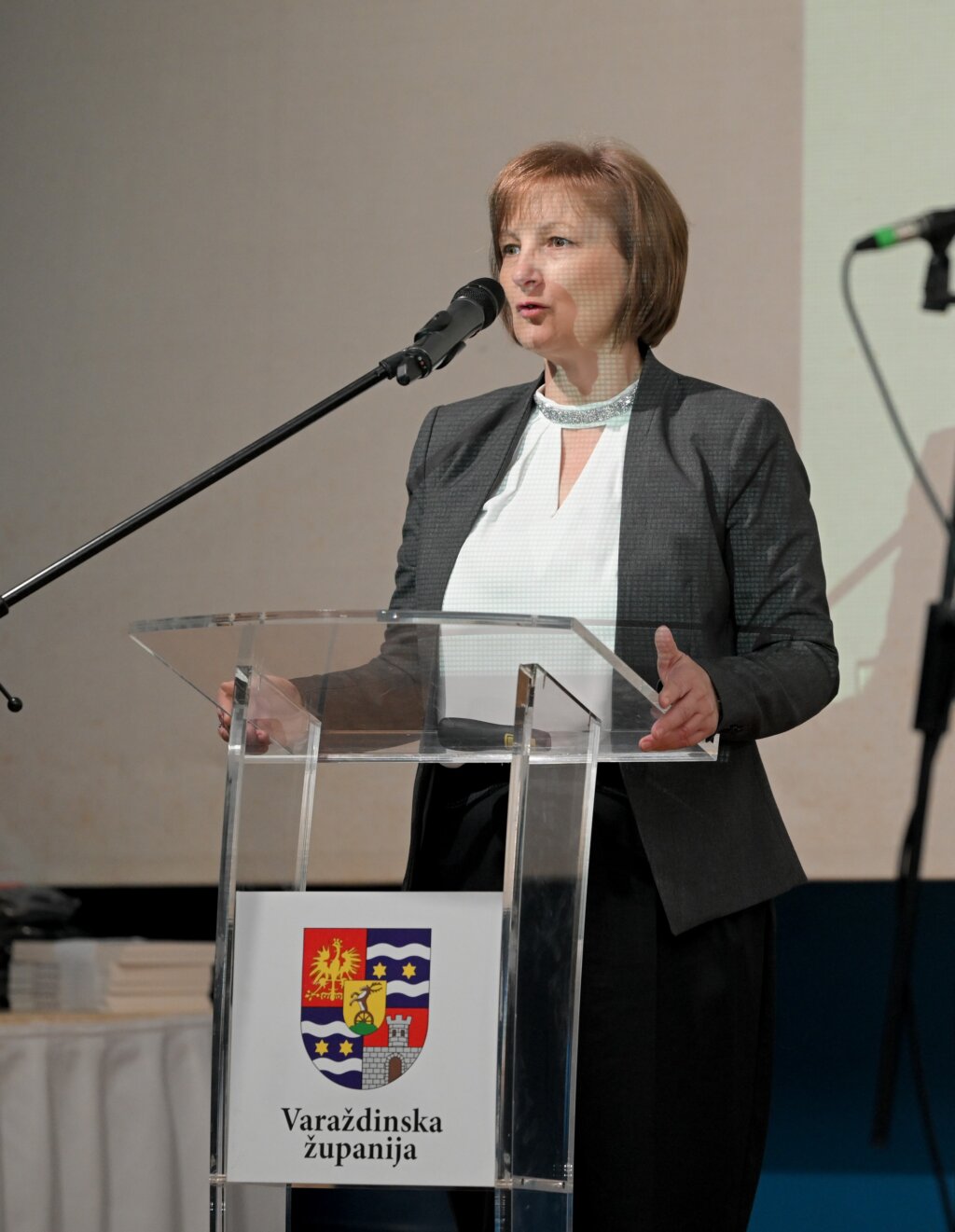 Varazdinske Toplice (8)