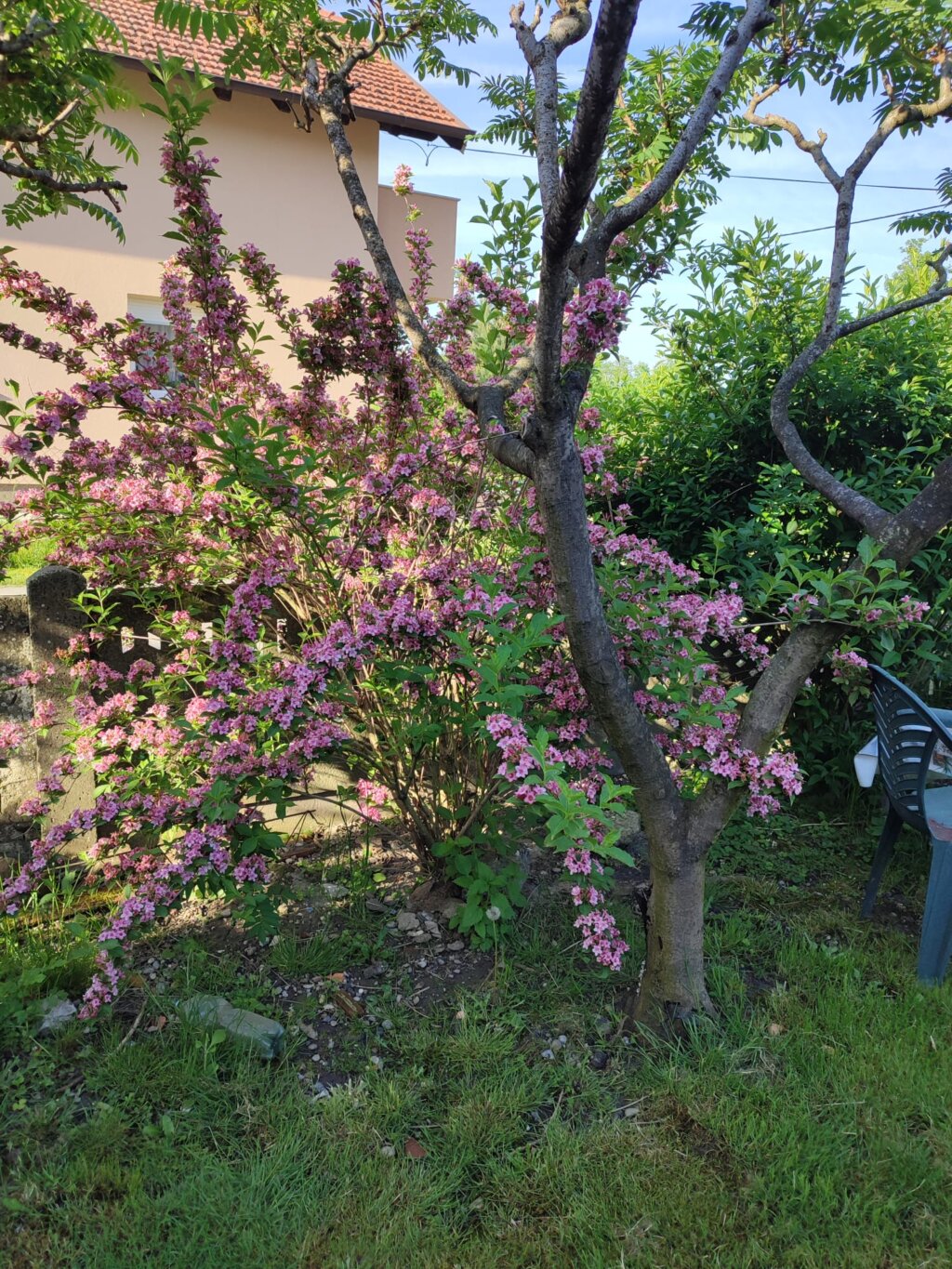 Whatsapp Image 2026 04 01 At 09.46.01 (1)