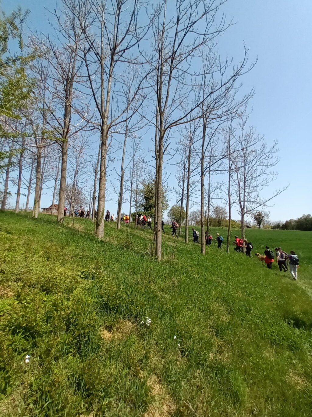 Whatsapp Image 2026 04 13 At 14.11.02 (3)