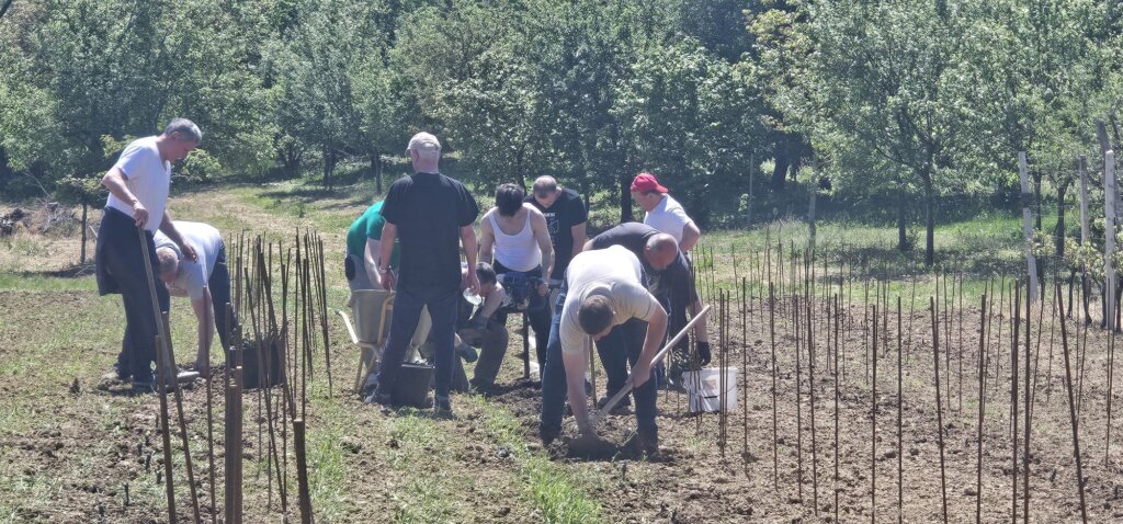 Whatsapp Image 2026 04 27 At 07.18.19