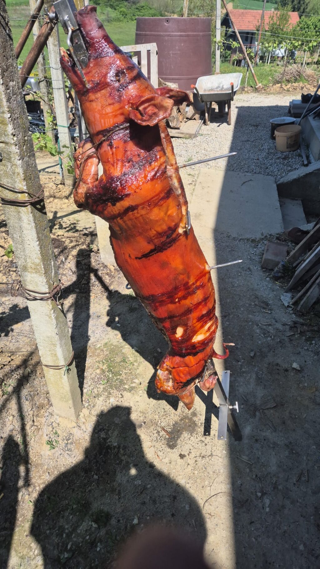 Whatsapp Image 2026 04 27 At 07.18.20 (3)