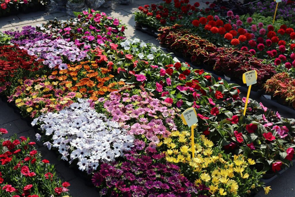 A72a068c E5e9 45e6 A91a 19e2ba6eb0de