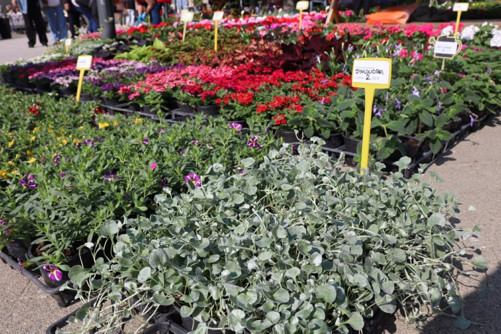 B28ef1c9 96db 4497 B9b0 B07bd9aed8c5