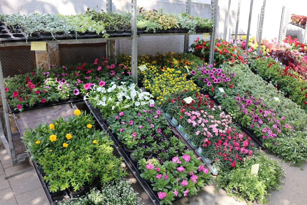 Bda6cb3c 268c 4dbb 9050 C0ea6ff36e44