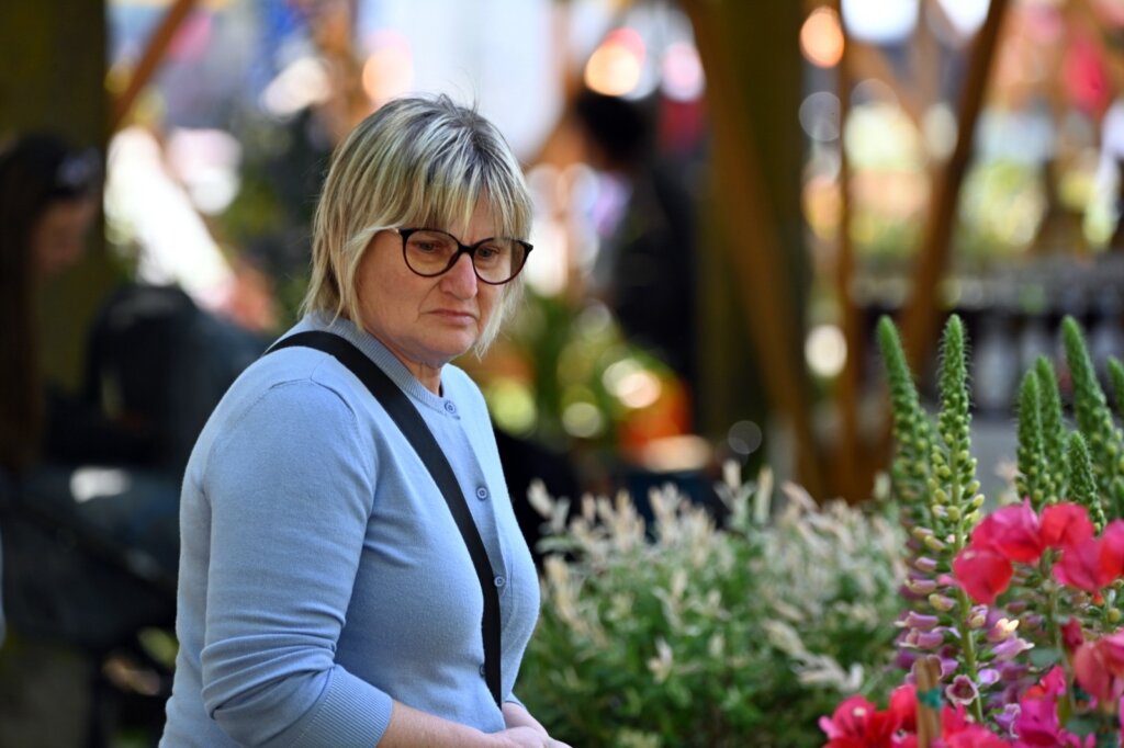 Cbd03c13 7428 426a 8eeb Bd4feae3027b