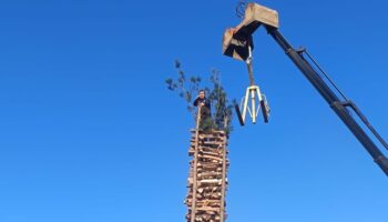 D63ceafe 77ba 4dbf Aae2 5869cfb51cd2