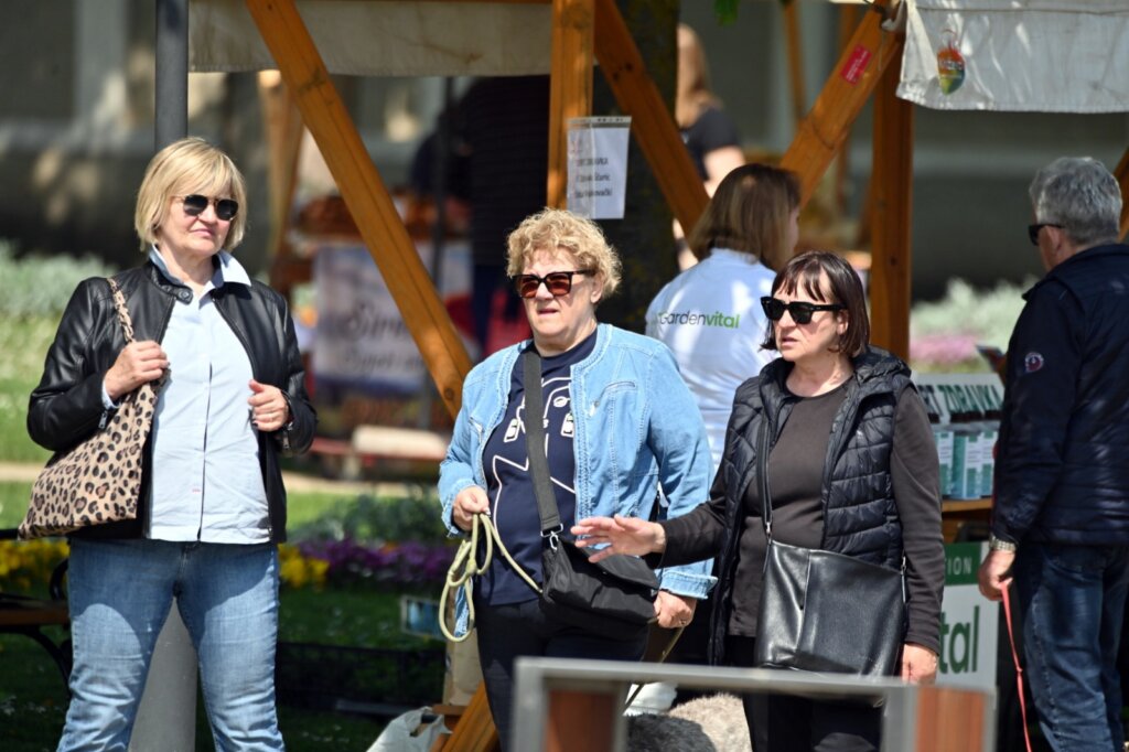 D774da91 Dad6 4188 866b 305b5dc3eb7d