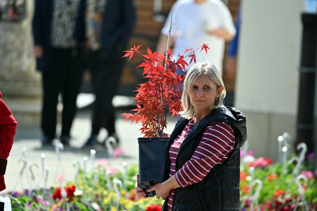 Dae65b63 Bc8e 4f22 A9e5 404994188c1d