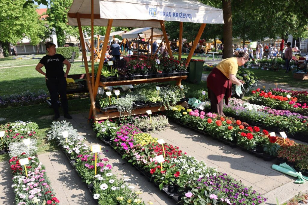 Dcd89fd1 8078 44d6 A019 82a2759cac2f