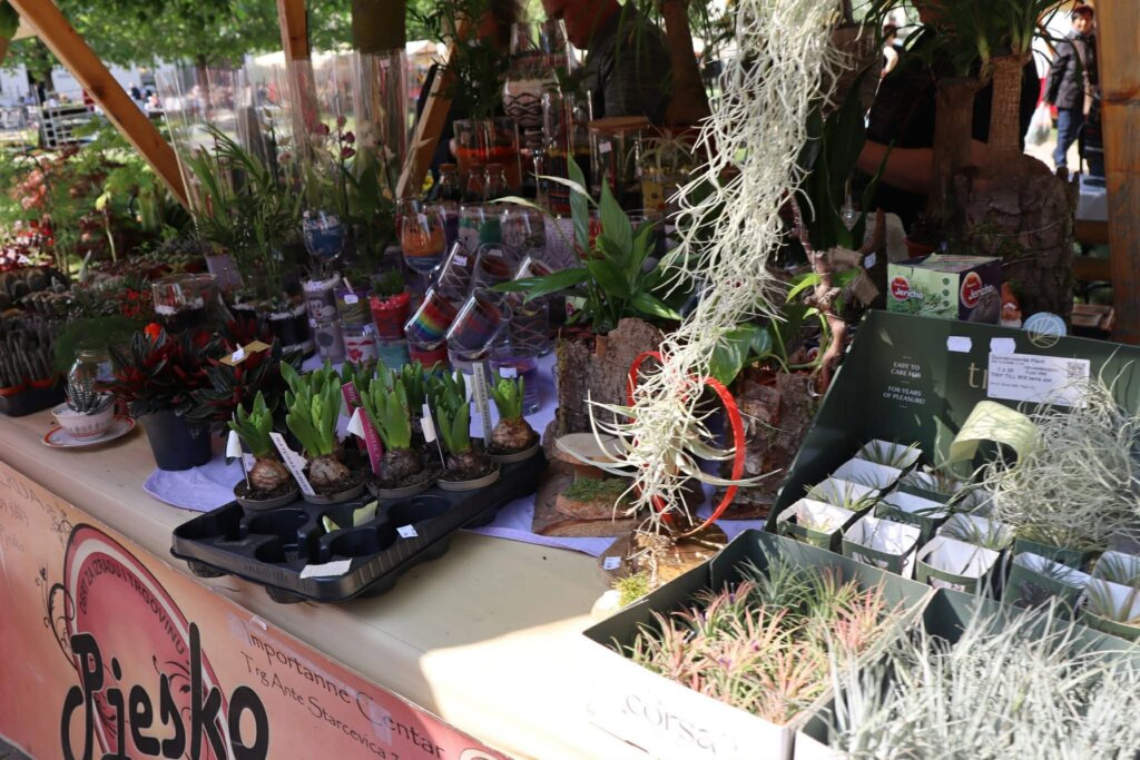 E2223529 F313 4ac5 90e7 F39cbb3c4cdf