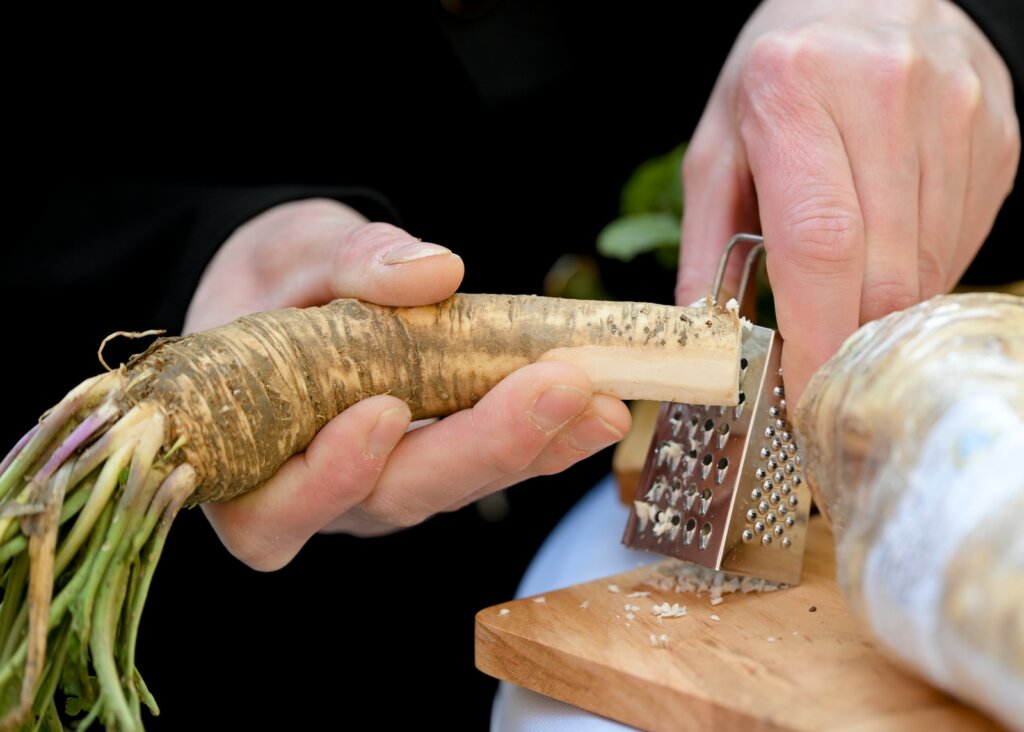 Ludbreski Hren Postanska Marka (10)