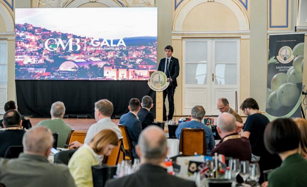 Vino Natjecanje Selection Sauvignon 2026 3