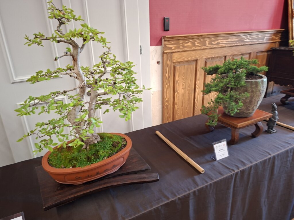 090526 Agrofest 8