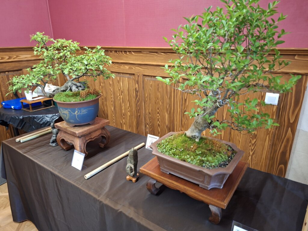 090526 Agrofest 9