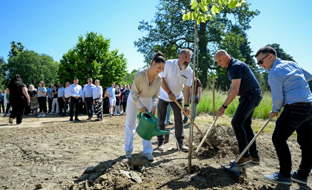Arboretum Opeka Obilazak 11